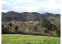 se vende terreno a  monte de eucalitos y madera del pais  - En Asturias, Villaviciosa