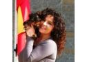 Regalo cachorros toy, de yorkshire terrier - En Madrid, Becerril de la Sierra