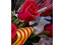 Venta de Rosas para Sant Jordi desde 0.99€ - En Barcelona, Mataró