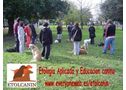 Practicas de Adiestramiento y Educación Canina ETOLCANIN (Irun - San Sebastian) - En Guipúzcoa, Donostia-San Sebastián