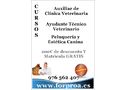 FORPROA: Especializacion Profesional/ cursos de Veterinaria - En Zaragoza
