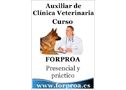 FORPROA: Curso de Auxiliar de Clínica Veterinaria - En Zaragoza