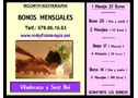 RODRYFISIOTERAPIA masajes viladecans 2 por 40€ Y SERVICIO DOMICILIO - En Barcelona, Viladecans